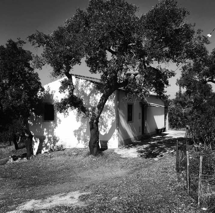 3-monte-sm-Monte